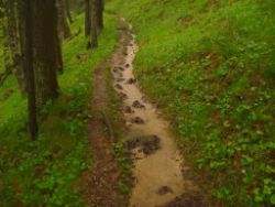 2013-06-01_Regina-F-Rau_Staffelalm_Hochwasser (133).JPG